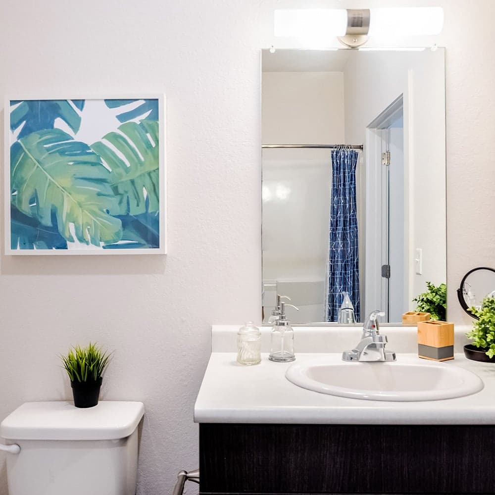 Bathroom-02-Halo-46-Tampa-12