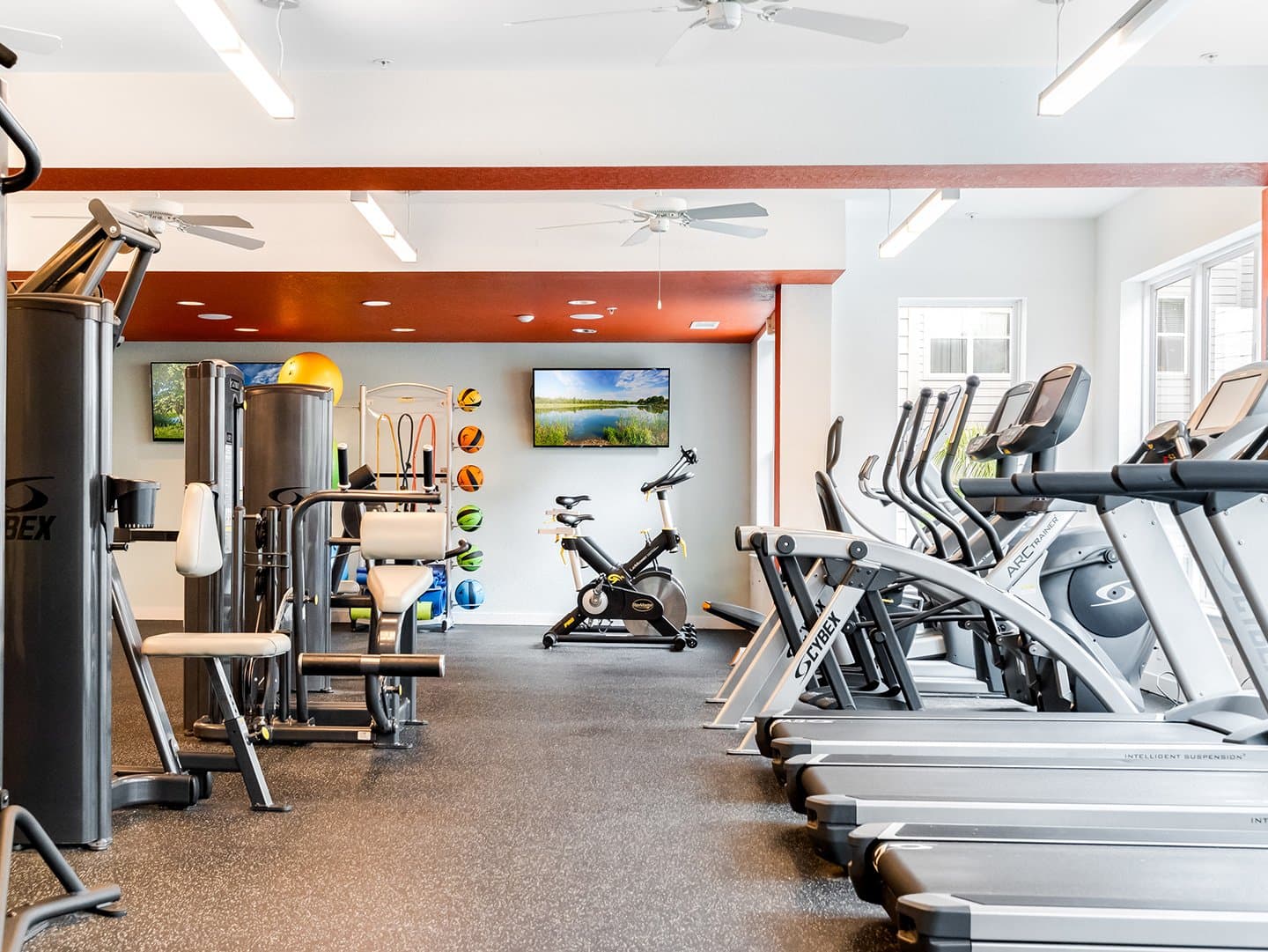 Fitness-Center-02-Halo-46-Tampa-12