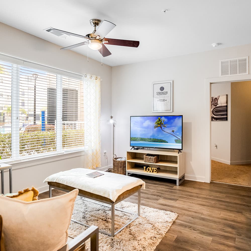 Living-Room-04-Halo-46-Tampa-12