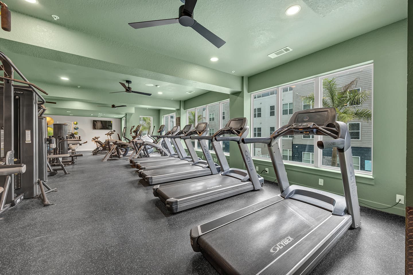 Halo46—Amenities—Fitness-Center-(11)